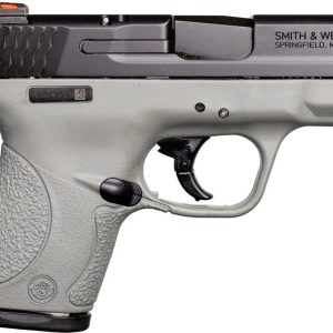 Smith & Wesson M&P Shield Gray For Sale