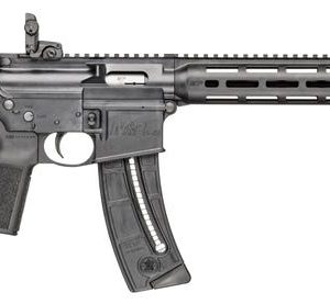 Smith & Wesson M&P15-22 Sport B5 For Sale