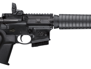 Smith & Wesson M&P15 Sport II For Sale