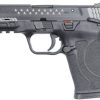 Smith & Wesson M&P9 Shield EZ M2.0 USA Flag & Stars Engraving For Sale