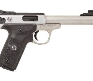 Smith & Wesson SW22 Victory Target For Sale